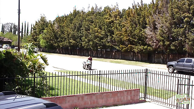 eroticfemaledominati