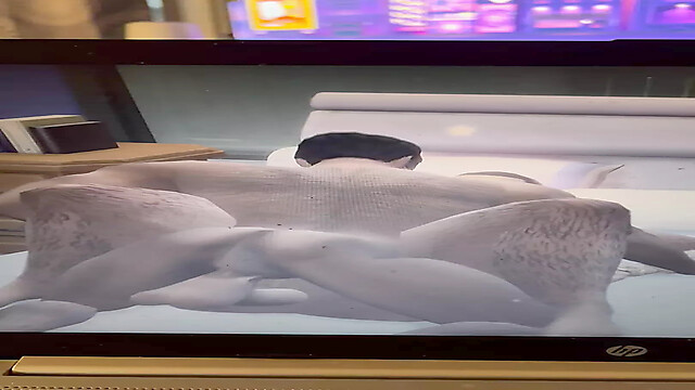 Submissivegayguy3345