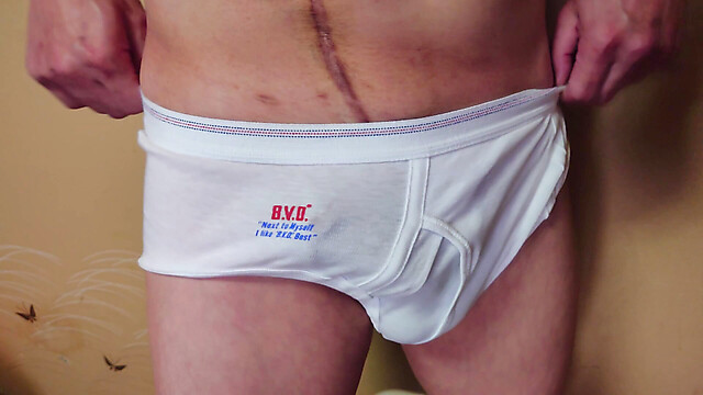 BVD_brief