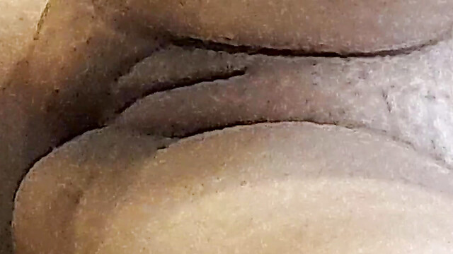 naugthylittleant