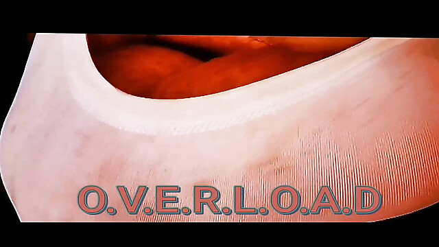 MONSTER1380CCSILICON