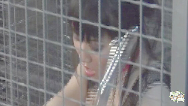 eroticfemaledominati