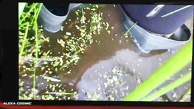 alexacosmic