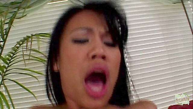 eroticfemaledominati