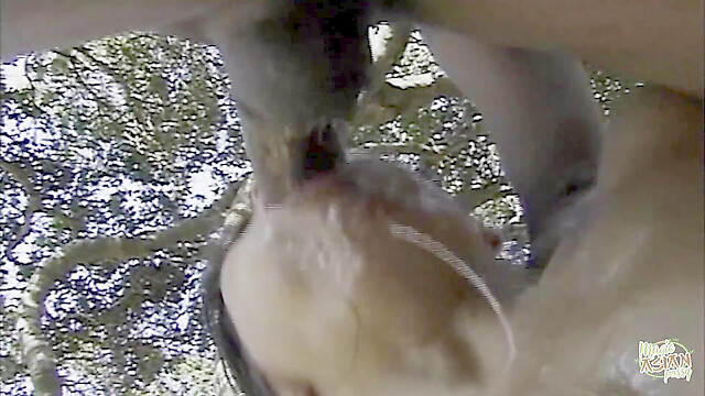 eroticfemaledominati