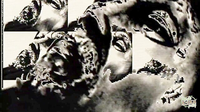 eroticfemaledominati