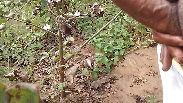 BlondeTroubleshootor