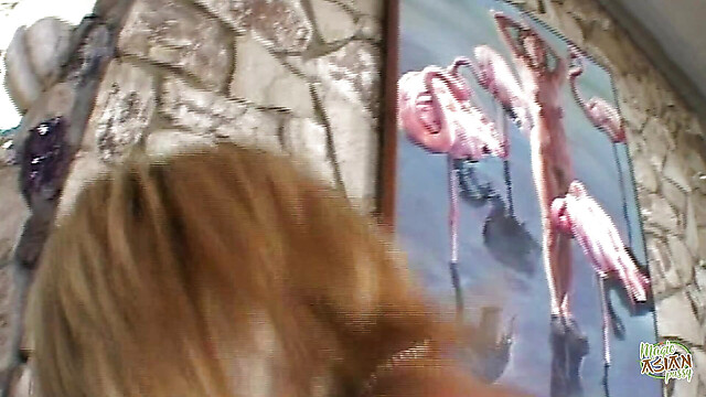 eroticfemaledominati