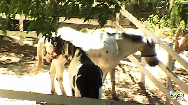 eroticfemaledominati