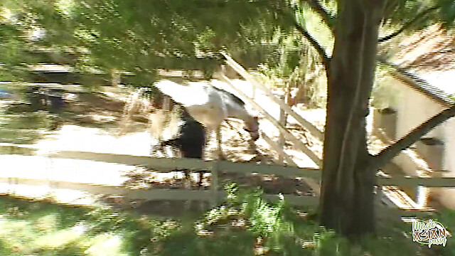 eroticfemaledominati