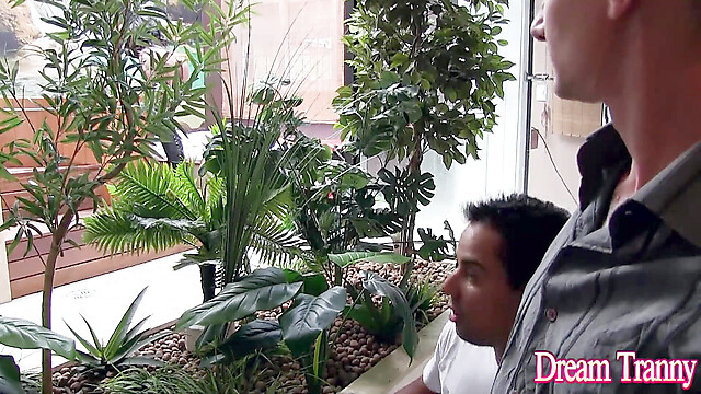 dreamtranny