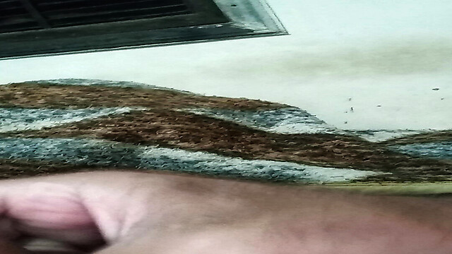 Penis16cmCircunferen