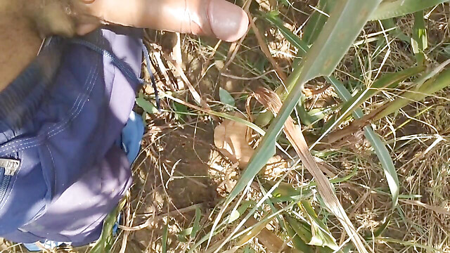 BlondeTroubleshootor