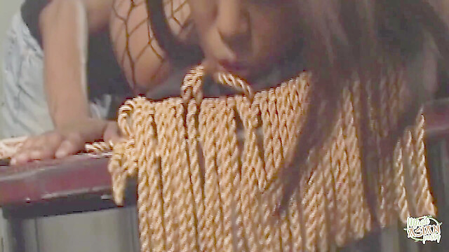 eroticfemaledominati