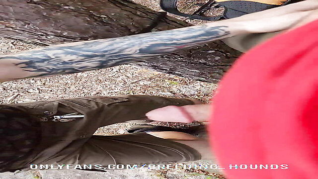 breeding_hounds