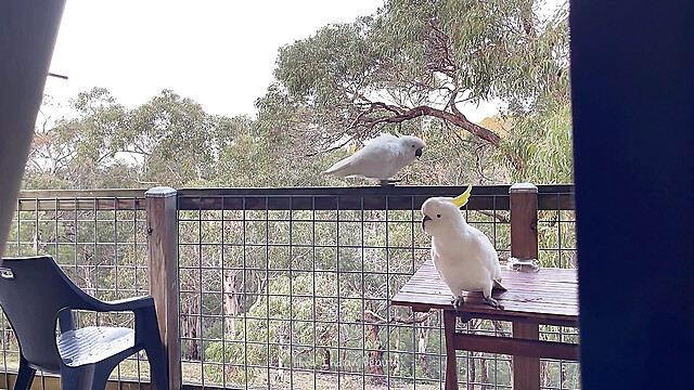 hot365entertainments