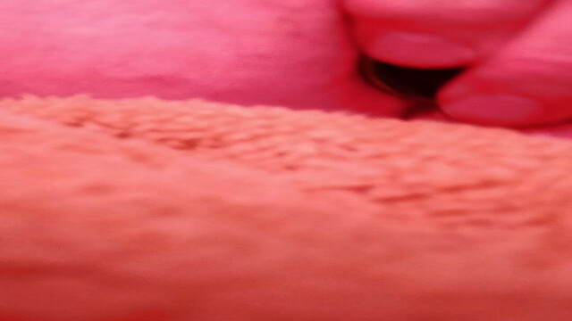 ectremefeyishfanrasy