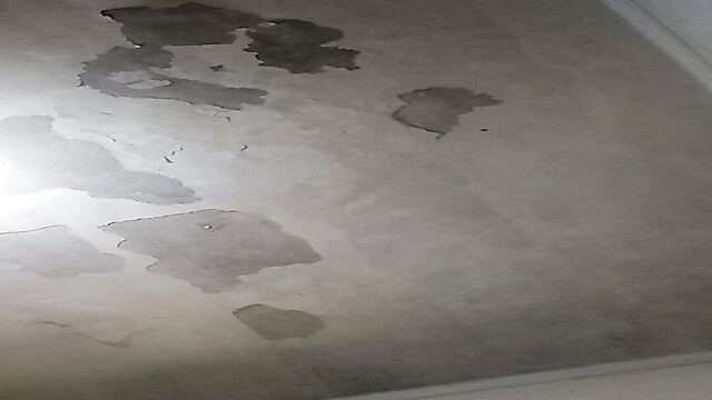 Penis16cmCircunferen