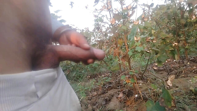 BlondeTroubleshootor