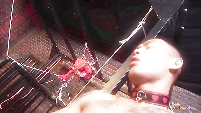 eroticfemaledominati