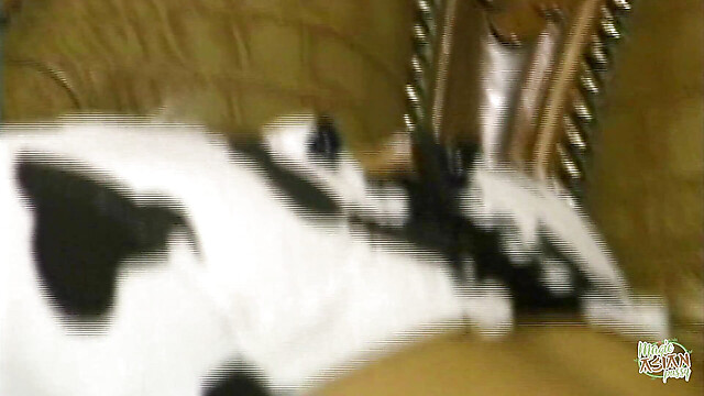 eroticfemaledominati