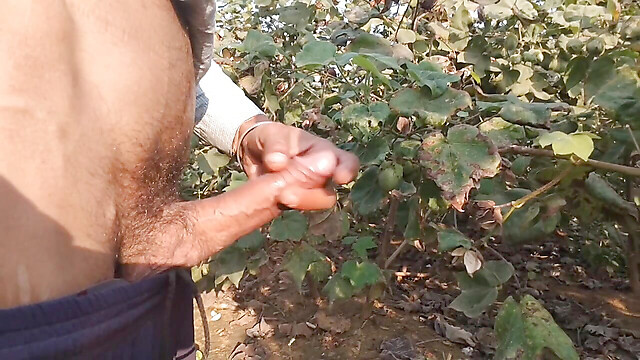 BlondeTroubleshootor