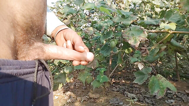 BlondeTroubleshootor