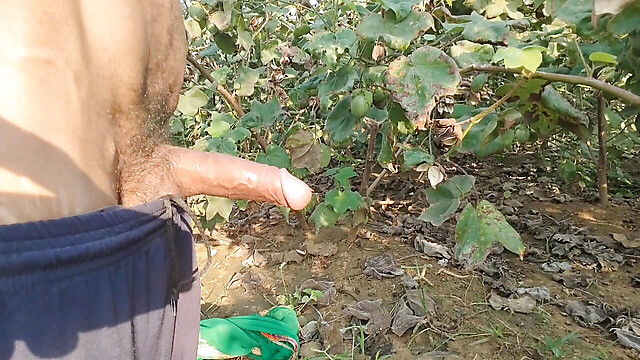 BlondeTroubleshootor