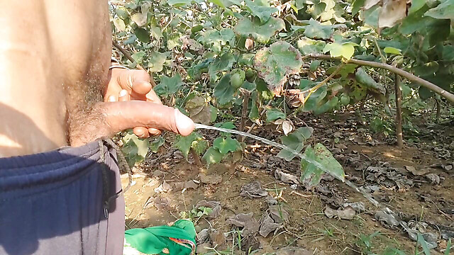 BlondeTroubleshootor