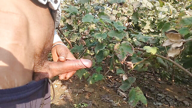 BlondeTroubleshootor