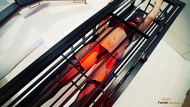 eroticfemaledominati