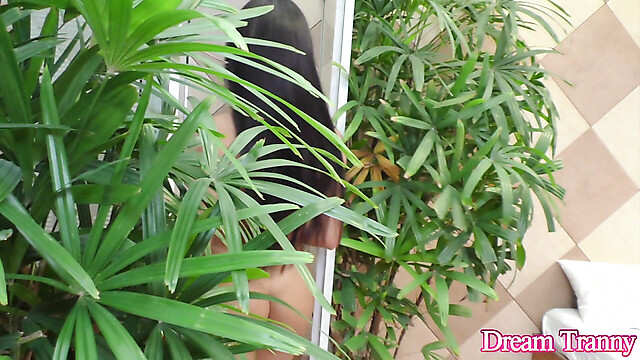 dreamtranny