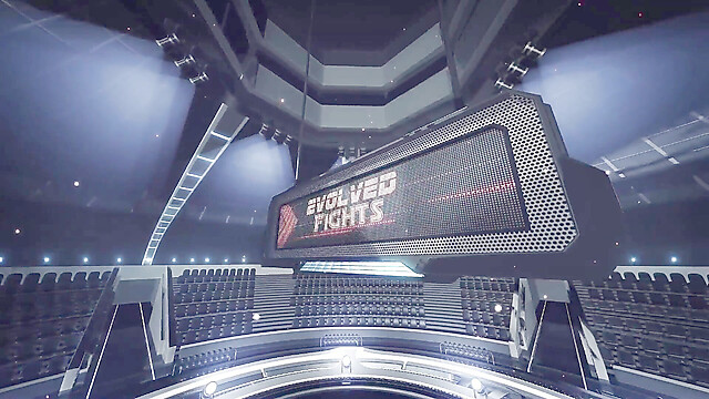 EvolvedFights