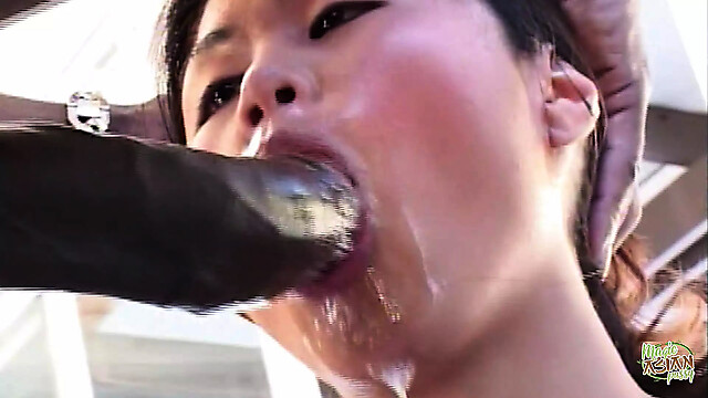 eroticfemaledominati