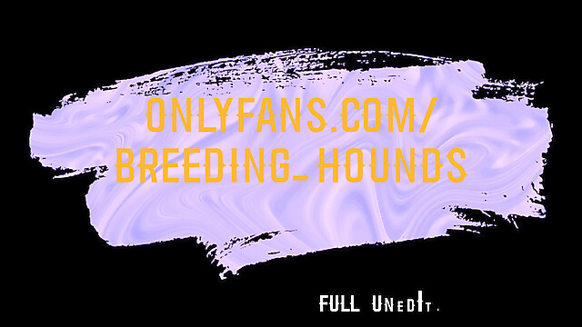 breeding_hounds