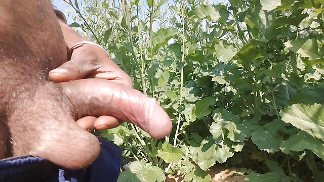 BlondeTroubleshootor