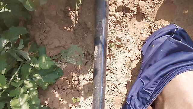 BlondeTroubleshootor