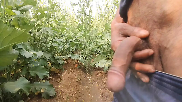 BlondeTroubleshootor