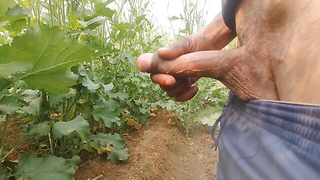 BlondeTroubleshootor