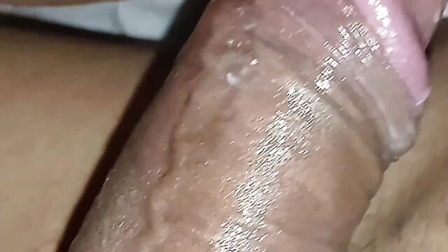 Royal_King5036