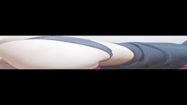 analmorocosex