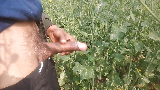 BlondeTroubleshootor