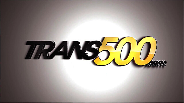 trans500
