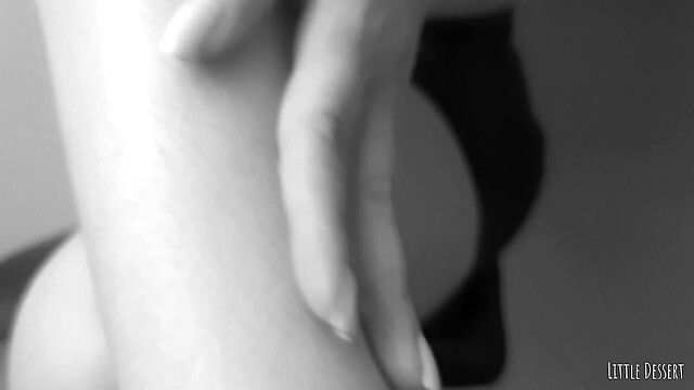 littledessert
