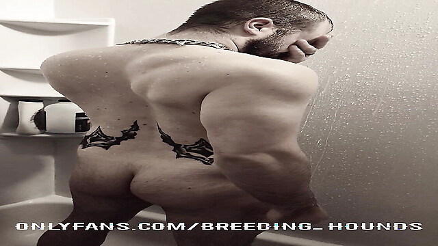 breeding_hounds