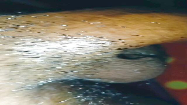 AbandonedPrecision96