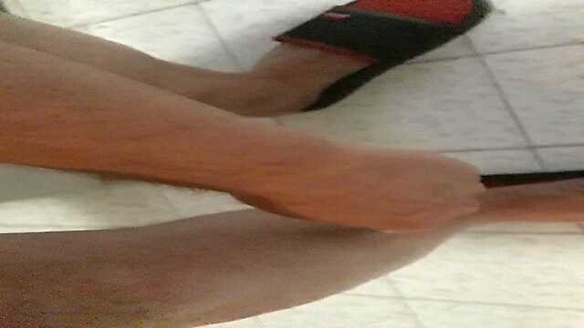 wernerlisaamityville