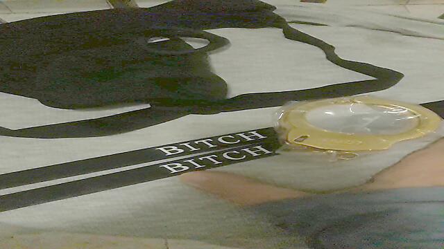 wernerlisaamityville