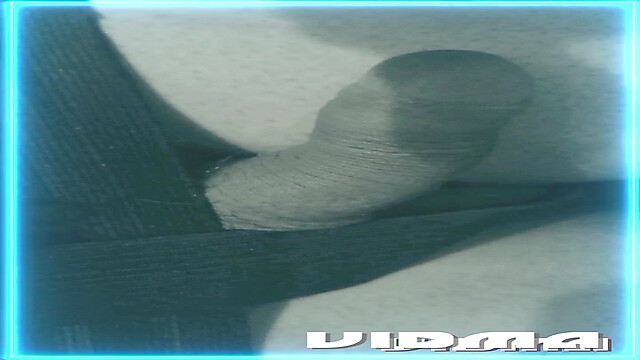 Laratransexualbarcel