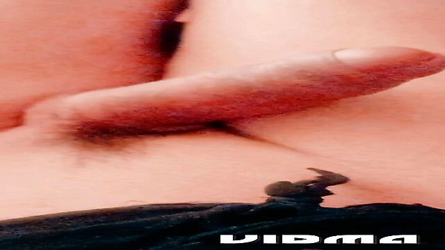 Laratransexualbarcel